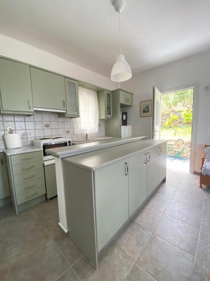 Appartamento Andros Vineyard House With Sea View Sineti Esterno foto
