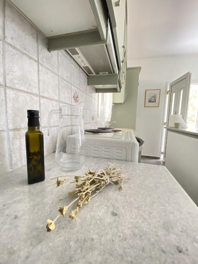 Appartamento Andros Vineyard House With Sea View Sineti Esterno foto