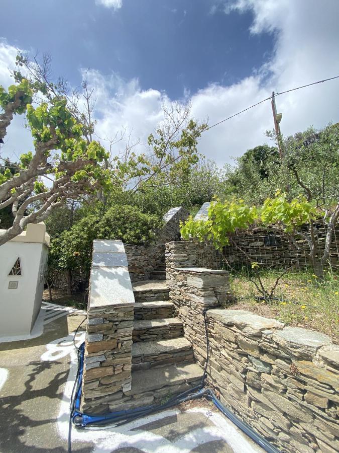 Appartamento Andros Vineyard House With Sea View Sineti Esterno foto